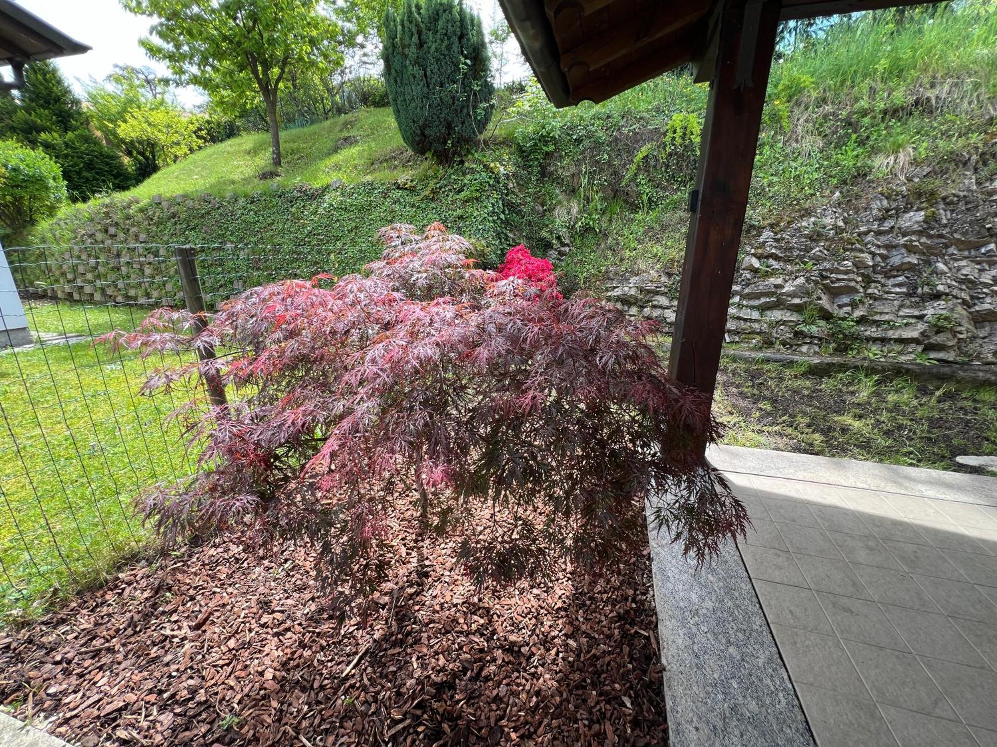 L'Acero Rosso - Giardino E Box Auto Privato Villa Menaggio Bagian luar foto