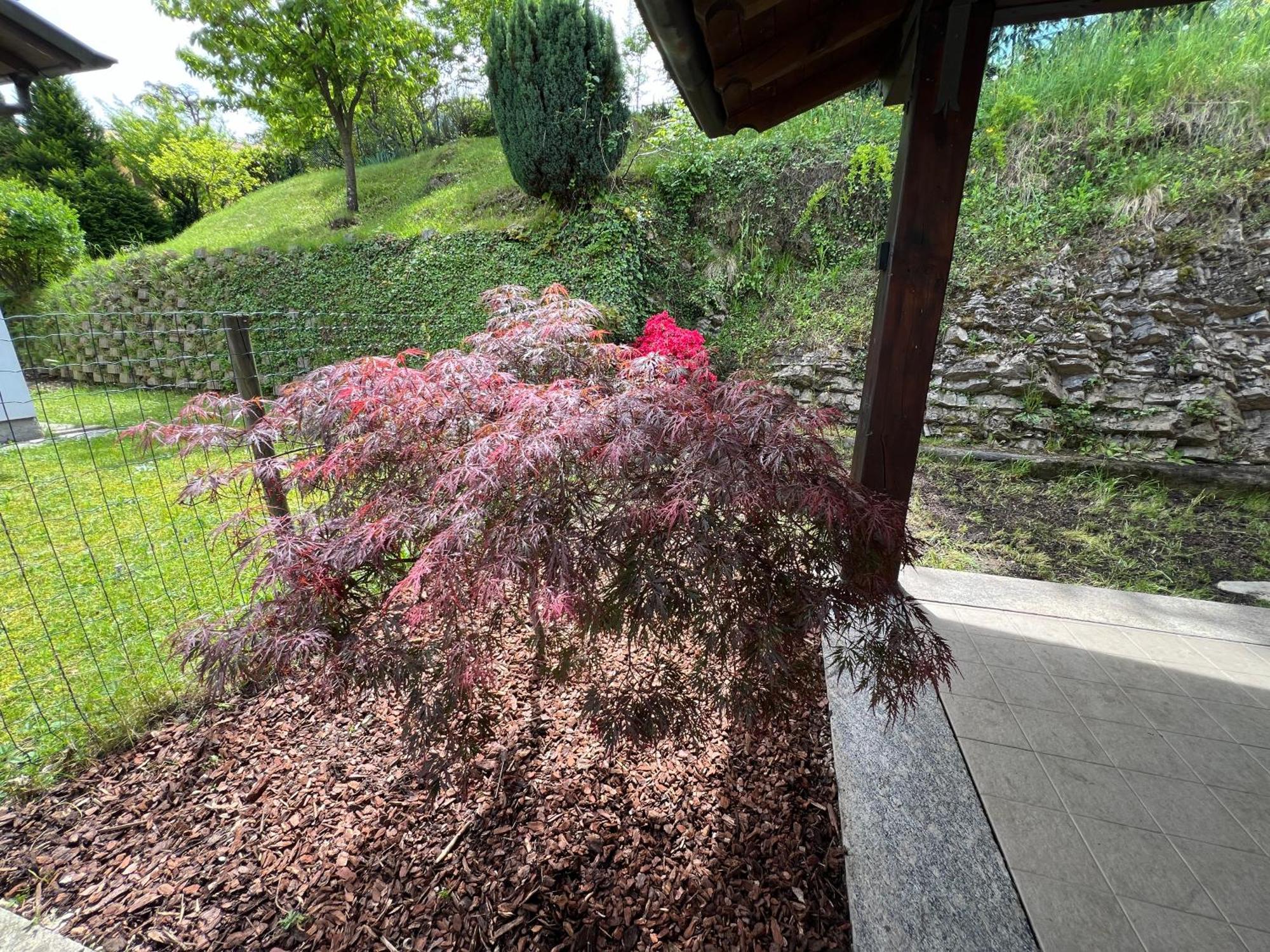 L'Acero Rosso - Giardino Privato E Box Auto Villa Menaggio Bagian luar foto